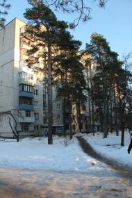 Княжичі з panoramio.com