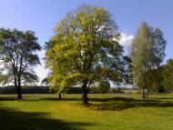 Стрижавка з panoramio.com