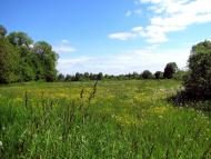 Замостя з panoramio.com