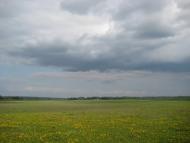 Карасиха з panoramio.com