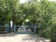 Скелювате - Останні фото