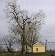 Горонда з panoramio.com