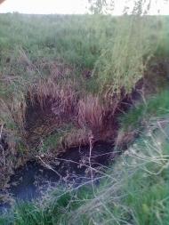 Йосипівка з panoramio.com