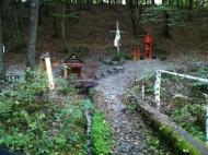 Савенки з panoramio.com