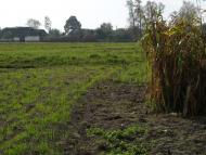 Жари з panoramio.com