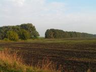 Остапівка з panoramio.com