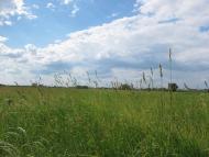 Болячів - Останні фото