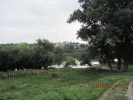 Вільшанка з panoramio.com