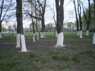 Рижівка з panoramio.com