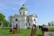 Петрівське з panoramio.com