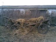 Красноліси з panoramio.com