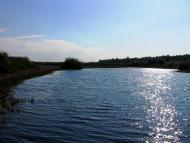 Дігтярі з panoramio.com