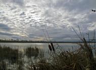 Дніпровка з panoramio.com