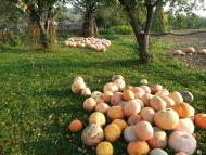 Фітьків з panoramio.com