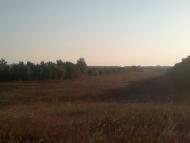 Костянтинівка з panoramio.com