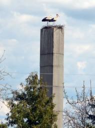 Кочубеївка з panoramio.com