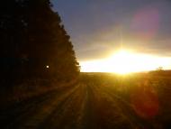 Сизе з panoramio.com