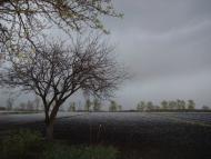 Набережне з panoramio.com