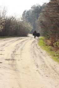 Черемошня з panoramio.com