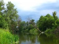 Завгороднє з panoramio.com