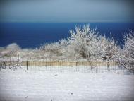 Балки з panoramio.com - Балки