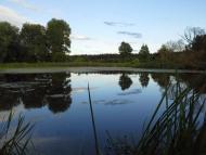 Скригалівка з panoramio.com