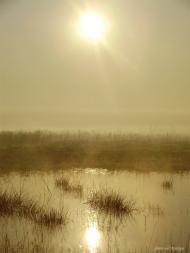 Суськ з panoramio.com