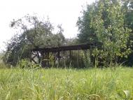 Михалківці з panoramio.com