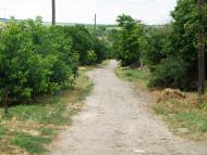 Широколанівка з panoramio.com