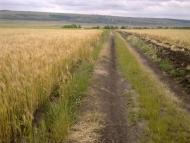 Юр'ївка з panoramio.com