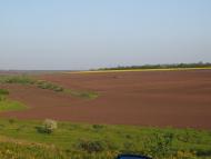 Коколове - Останні фото