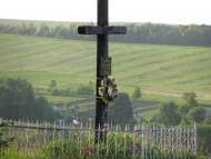 Мечищів з panoramio.com