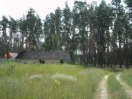 Кулики з panoramio.com