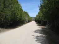 Дачне з panoramio.com