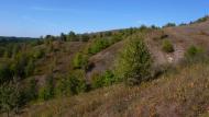 Великий Перевіз з panoramio.com