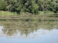 Андріївка з panoramio.com