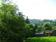 Лопушне з panoramio.com