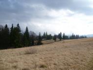 Лавочне з panoramio.com