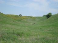 Бобрівка з panoramio.com - Бобрівка