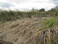 Хотешів з panoramio.com