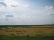 Пашенівка з panoramio.com