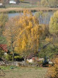 Гусакове - Останні фото