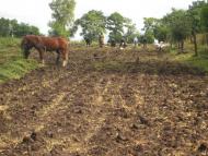 Кнісело з panoramio.com