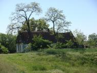 Очеретувате з panoramio.com