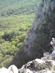 Поляна з panoramio.com