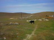 Севастянівка з panoramio.com