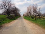 Нерубайка з panoramio.com