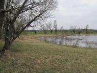 Шабалинів з panoramio.com