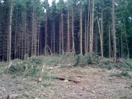 Карпівці з panoramio.com