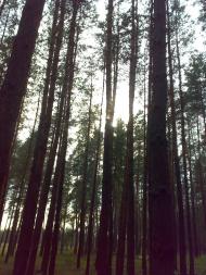 Глинське з panoramio.com